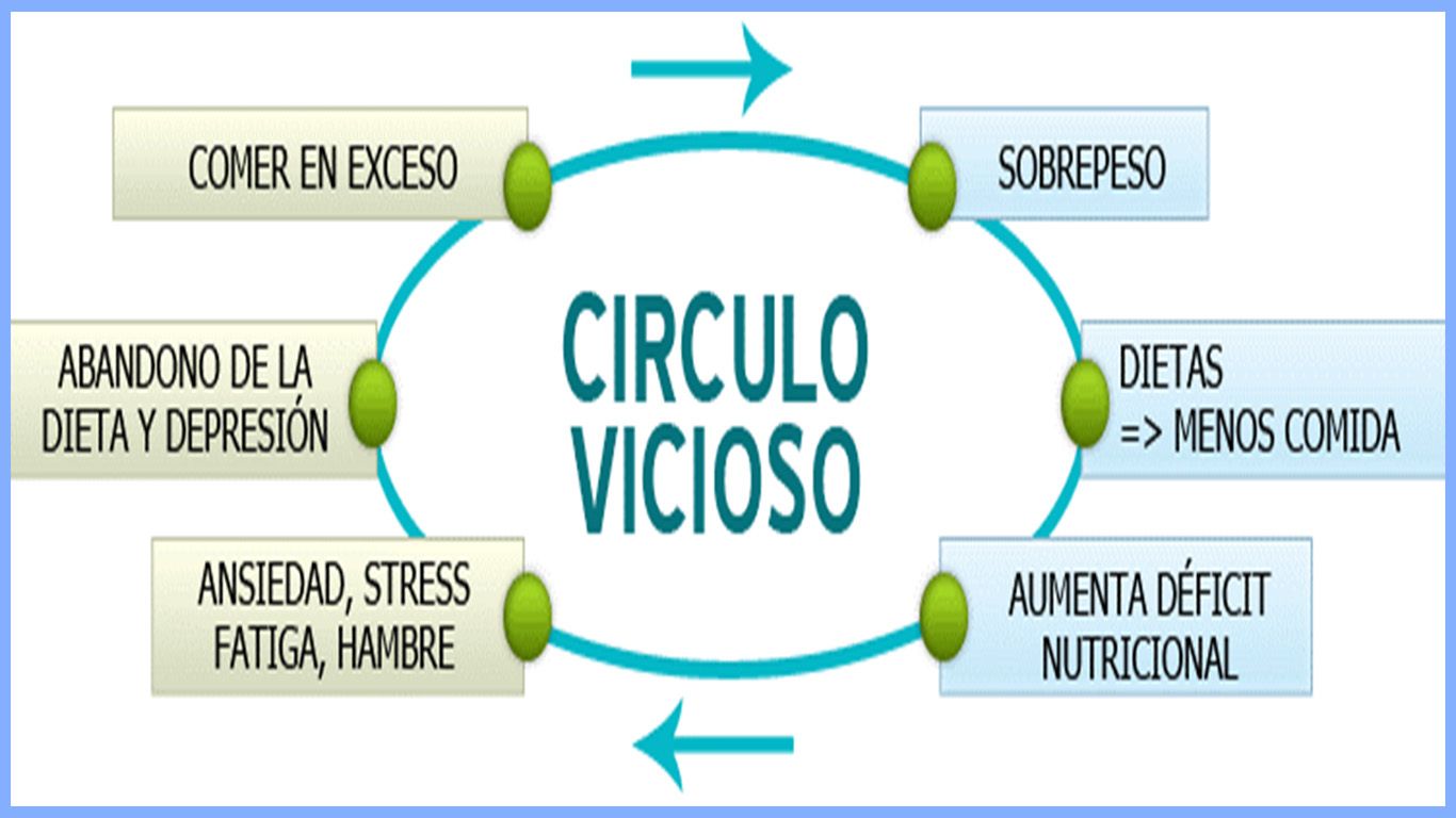 Resumen de el cerebro obeso